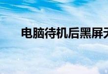 電腦待機(jī)后黑屏無(wú)法喚醒（電腦待機(jī)）