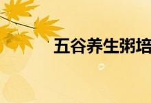 五谷養(yǎng)生粥培訓（五谷養(yǎng)生粥）