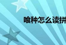 喰種怎么讀拼音(喰種怎么讀)