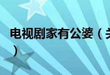電視劇家有公婆（關于電視劇家有公婆的介紹）