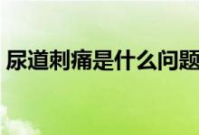 尿道刺痛是什么問題(尿道刺痛是什么原因)