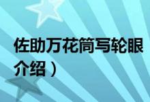 佐助萬(wàn)花筒寫輪眼（關(guān)于佐助萬(wàn)花筒寫輪眼的介紹）
