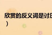 欣賞的反義詞是討厭嗎(欣賞的反義詞是什么)