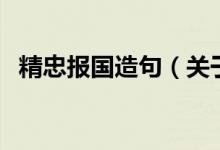 精忠報(bào)國(guó)造句（關(guān)于精忠報(bào)國(guó)造句的介紹）