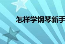 怎樣學鋼琴新手入門（怎樣學鋼琴）