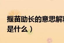 揠苗助長(zhǎng)的意思解釋2年級(jí)（揠苗助長(zhǎng)的意思是什么）