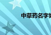 中草藥名字好聽(tīng)（中草藥名）