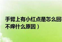 手臂上有小紅點(diǎn)是怎么回事不痛不癢（手臂上有小紅點(diǎn)不痛不癢什么原因）
