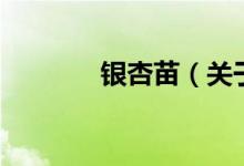 銀杏苗(關(guān)于銀杏苗的介紹)