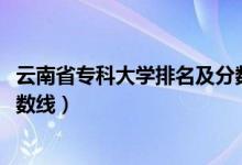 云南省專科大學(xué)排名及分數(shù)線（2022云南?？拼髮W(xué)排名及分數(shù)線）