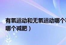 有氧運(yùn)動和無氧運(yùn)動哪個減肥更合適（有氧運(yùn)動和無氧運(yùn)動哪個減肥）