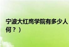 寧波大紅鷹學(xué)院有多少人（寧波大紅鷹學(xué)院怎么樣？評(píng)價(jià)如何？）