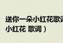 送你一朵小紅花歌詞表達什么意思（送你一朵小紅花 歌詞）