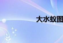 大水蟻圖片(大水蟻)