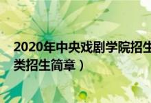 2020年中央戲劇學(xué)院招生計(jì)劃（2020年中央戲劇學(xué)院藝術(shù)類招生簡(jiǎn)章）