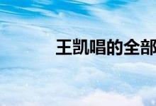 王凱唱的全部歌曲(王凱簡(jiǎn)歷)