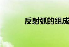 反射弧的組成(反射弧的組成)