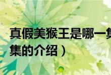 真假美猴王是哪一集(關(guān)于真假美猴王是哪一集的介紹)