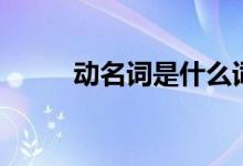 動(dòng)名詞是什么詞(動(dòng)名詞是什么)