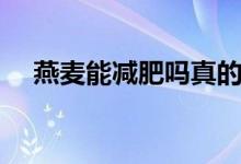 燕麥能減肥嗎真的假的(燕麥能減肥嗎)