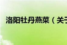 洛陽(yáng)牡丹燕菜（關(guān)于洛陽(yáng)牡丹燕菜的介紹）