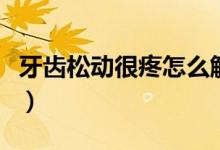牙齒松動很疼怎么解決（牙齒松動很疼怎么辦）