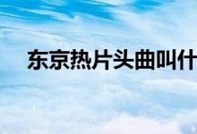東京熱片頭曲叫什么?。|京熱片頭曲）