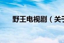 野王電視?。P(guān)于野王電視劇的介紹）