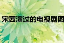 宋茜演過的電視劇圖片（宋茜演過的電視?。?class=