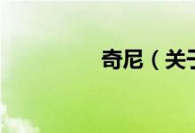 奇尼（關于奇尼的介紹）
