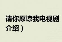 請你原諒我電視?。P于請你原諒我電視劇的介紹）
