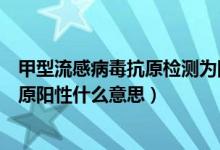 甲型流感病毒抗原檢測(cè)為陽(yáng)性是什么意思（甲型流感病毒抗原陽(yáng)性什么意思）
