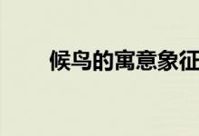 候鳥的寓意象征什么(候鳥的意思)