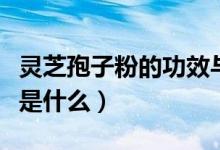 靈芝孢子粉的功效與用量(靈芝孢子粉的功效是什么)