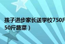 孩子進步家長送學校750斤蔬菜過程（孩子進步家長送學校750斤蔬菜）