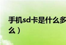 手機(jī)sd卡是什么多少錢一個(gè)（手機(jī)sd卡是什么）