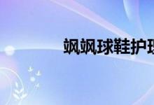 颯颯球鞋護(hù)理(颯颯的意思)