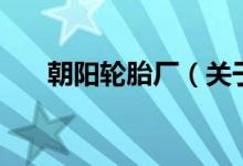 朝陽(yáng)輪胎廠（關(guān)于朝陽(yáng)輪胎廠的介紹）