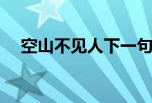 空山不見(jiàn)人下一句（空山不見(jiàn)人下一句）