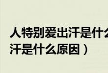 人特別愛出汗是什么原因怎么辦（人特別愛出汗是什么原因）