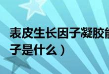 表皮生長(zhǎng)因子凝膠能淡化疤痕嗎（表皮生長(zhǎng)因子是什么）