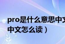 pro是什么意思中文怎么寫(xiě)（pro是什么意思中文怎么讀）
