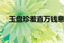 玉盤(pán)珍羞直萬(wàn)錢意思（玉盤(pán)珍羞值萬(wàn)錢）