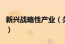 新興戰(zhàn)略性產(chǎn)業(yè)（關于新興戰(zhàn)略性產(chǎn)業(yè)的介紹）