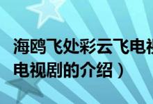 海鷗飛處彩云飛電視?。P(guān)于海鷗飛處彩云飛電視劇的介紹）