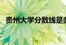 貴州大學(xué)分數(shù)線是多少（貴州大學(xué)分數(shù)線）