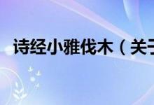 詩經(jīng)小雅伐木（關于詩經(jīng)小雅伐木的介紹）