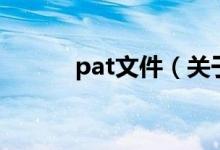pat文件（關于pat文件的介紹）