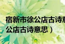 宿新市徐公店古詩意思四年級(jí)下冊（宿新市徐公店古詩意思）