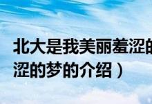 北大是我美麗羞澀的夢（關于北大是我美麗羞澀的夢的介紹）
